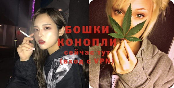 прущие грибы Белоозёрский