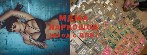 прущие грибы Белоозёрский