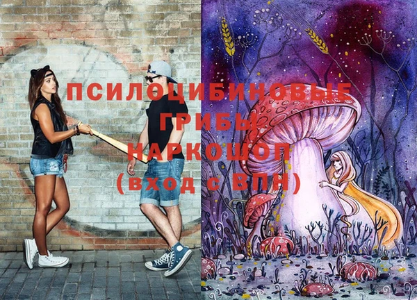 прущие грибы Белоозёрский